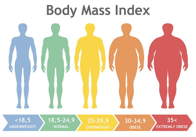 body-mass-index