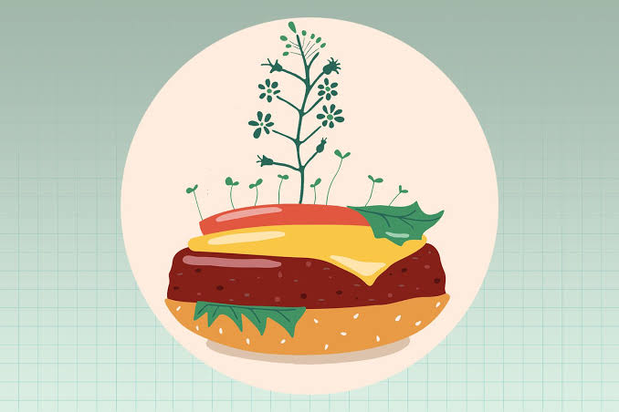 plant-based-meat